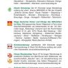 Seite 7 aus dem Wanderführer „Wandern im Harz“