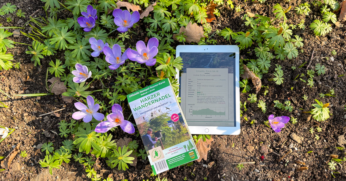 ein Tablet mit dem E-Book der Tourenkarte und die neue Auflage der HWN-Tourenkarte inmitten von b lühenden Krokussen